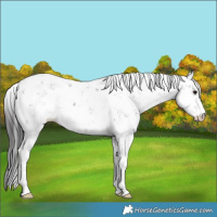 Horse Color:Smoky Black Sabino 