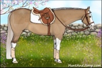 Horse Color:Silver Bay Dun Splash 