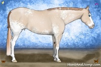 Horse Color:White Spotted Smoky Black Pearl Splash Rabicano 