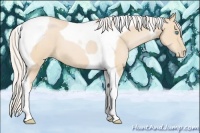 Horse Color:Silver Buckskin Pearl Tobiano 