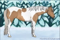 Horse Color:Silver Buckskin Tobiano 