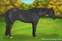 Horse Color:Black Frame