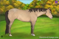 Horse Color:Amber Cream Champagne