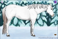 Horse Color:White Spotted Bay Splash Tobiano Appaloosa Rabicano 