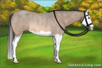 Horse Color:Buckskin Roan Splash Rabicano