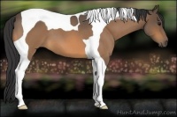 Horse Color:Buckskin Roan Tobiano