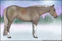 Horse Color:Silver Black Tobiano 