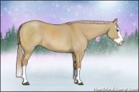 Horse Color:Palomino Dun Sabino Splash 