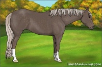 Horse Color:Silver Black 