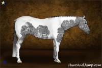 Horse Color:Smoky Black Ice Tobiano