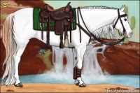 Horse Color:Bay Near Leopard 