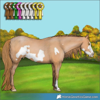 Horse Color:Bay Pearl Frame