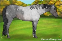 Horse Color:Brown Roan Frame 