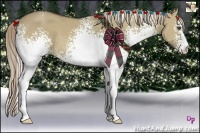 Horse Color:White Spotted Chocolate Palomino Dun Frame 