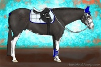 Horse Color:Liver Chestnut Sabino Frame 