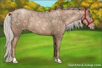 Horse Color:Silver Black Ice Pearl Frame 