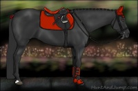 Horse Color:Liver Chestnut Frame 