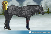 Horse Color:Black Ice 