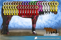 Horse Color:Bay Rabicano 