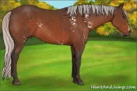 Horse Color:White Spotted Silver Bay Frame 
