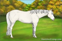 Horse Color:Silver Perlino Roan Dun Splash