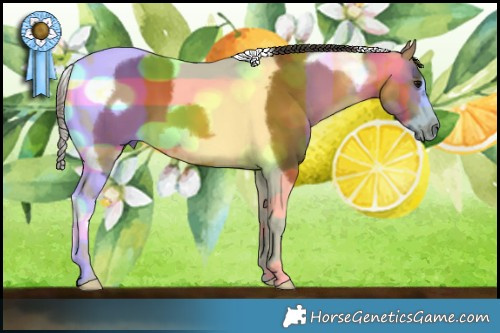 Horse Color:Buckskin Tobiano Frame 