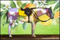 Horse Color:Buckskin Tobiano Frame 