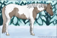 Horse Color:Silver Grullo Tobiano Rabicano