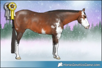 Horse Color:Brown Sabino 