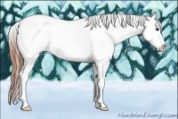 Horse Color:Bay Dun Sabino Tobiano Appaloosa Rabicano 