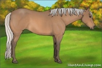 Horse Color:Silver Buckskin Roan Rabicano