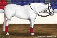 Horse Color:Brown Sabino Splash Tobiano Appaloosa 
