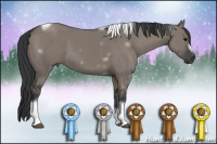 Horse Color:White Spotted Grullo Tobiano Frame