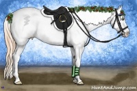 Horse Color:Buckskin Pearl Sabino Appaloosa