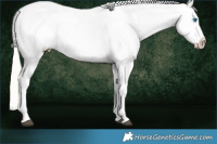 Horse Color:White Spotted Silver Brown Sabino Splash Frame Appaloosa 