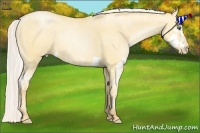 Horse Color:Silver Amber Champagne Pearl Dun Splash  Brindle
