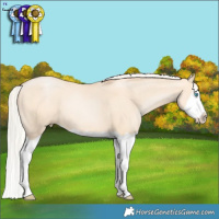 Horse Color:Silver Amber Champagne Pearl Dun Splash  Brindle