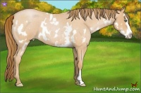 Horse Color:Bay Roan Pearl Splash Frame