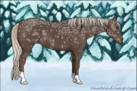 Horse Color:Silver Black Ice