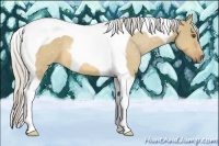 Horse Color:Silver Buckskin Dun Tobiano