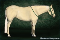 Horse Color:Palomino Dun