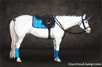 Horse Color:Chestnut Appaloosa 