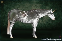 Horse Color:Liver Chestnut Sabino Splash 