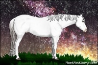 Horse Color:Liver Red Dun Roan Splash Tobiano Frame Blanket Rabicano