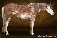Horse Color:Liver Chestnut Ice Sabino Brindle