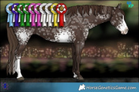 Horse Color:White Spotted Liver Chestnut Ice Sabino Splash