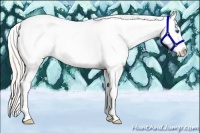 Horse Color:Silver Amber Champagne Roan Dun Splash Tobiano Frame Appaloosa Rabicano