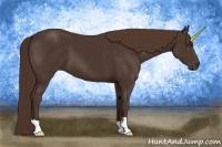 Horse Color:Liver Chestnut 
