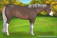 Horse Color:Silver Black Sabino Splash Frame 