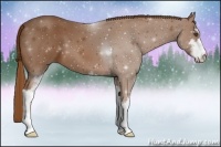 Horse Color:Chestnut Sabino